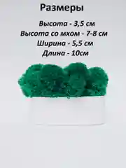 Белый кашпо из гипса со стабилизированным мхом