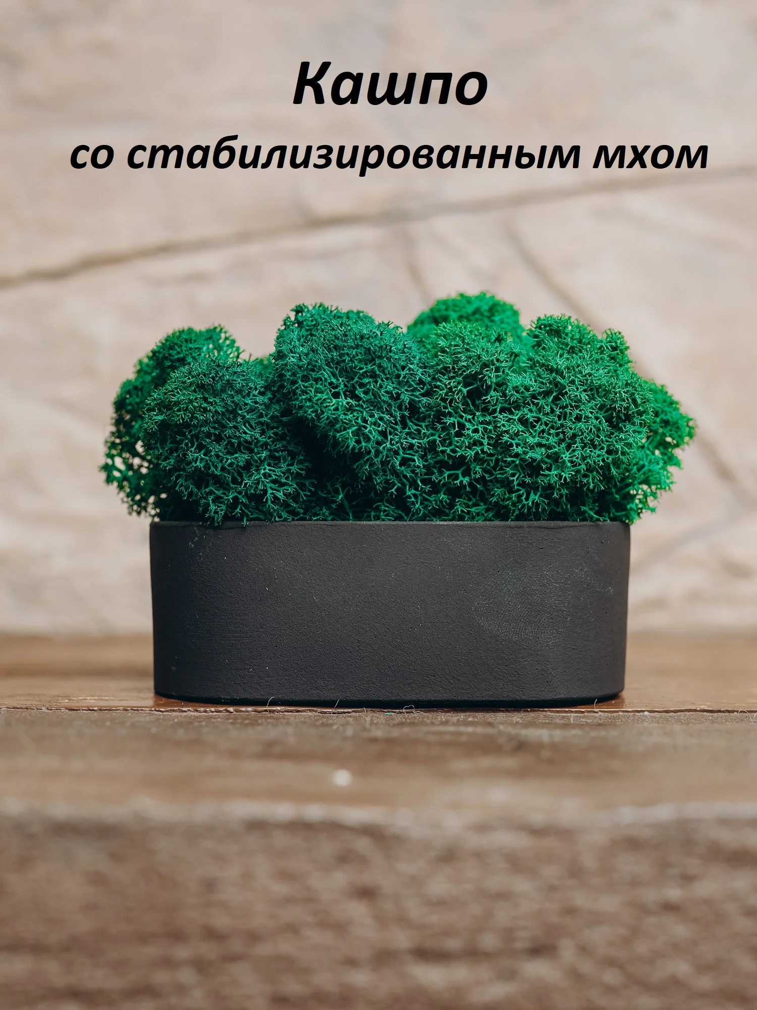Черный кашпо из гипса со стабилизированным мхом