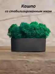 Черный кашпо из гипса со стабилизированным мхом