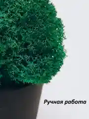 Черный кашпо из гипса со стабилизированным мхом