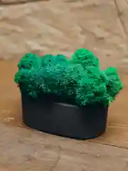 Черный кашпо из гипса со стабилизированным мхом