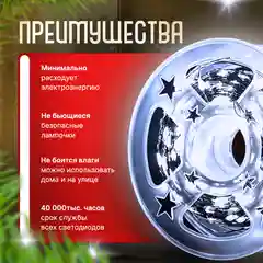 Гирлянда роса, 100 метров