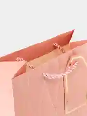 Кораллово-розовый подарочный пакет из высококачественной бумаги,/Размер 18*23*10см