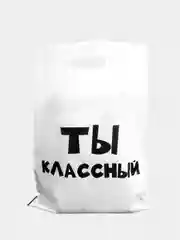 Набор подарочных пакетов "Ты классный", 10 шт