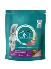 Сухой корм для взрослых кошек Purina ONE, с уткой и печенью, 750 г