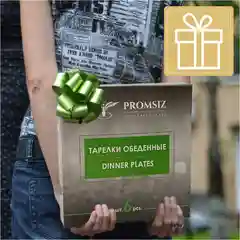 Тарелки обеденные, подарочный набор 6 шт., 26 см,  золото PROMSIZ коллекция Ампир