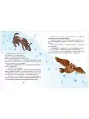Новый год. Сказки и легенды народов мира