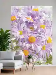Фотообои Симфония "Чудное мгновение"