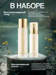 Бронзовый подарочный набор косметики по уходу за кожей лица, для женщин, 2 средства