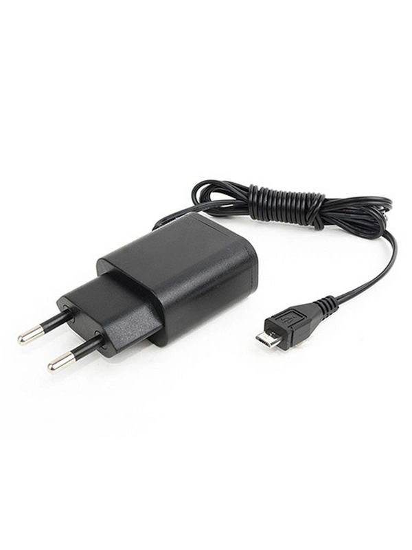 ROBITON TinyCharger/MicroUSB BL1