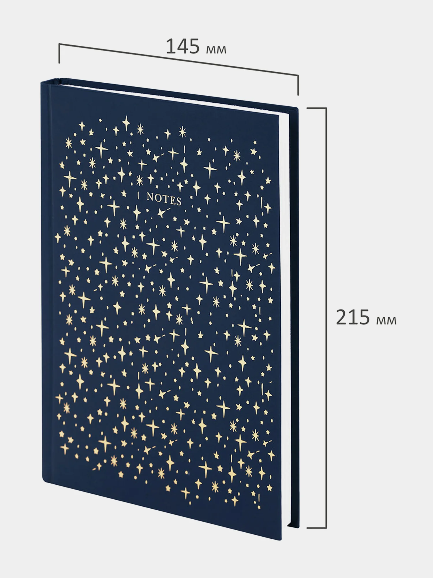 Ежедневник-планер (планинг), записная книжка, блокнот недатированный А5, 113522