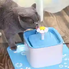 Поилка для кошек и собак автоматическая