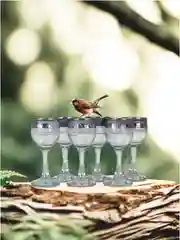 Рюмки для водки, подарочный набор, 6 шт., 55 мл,  PROMSIZ коллекция Весенний букет