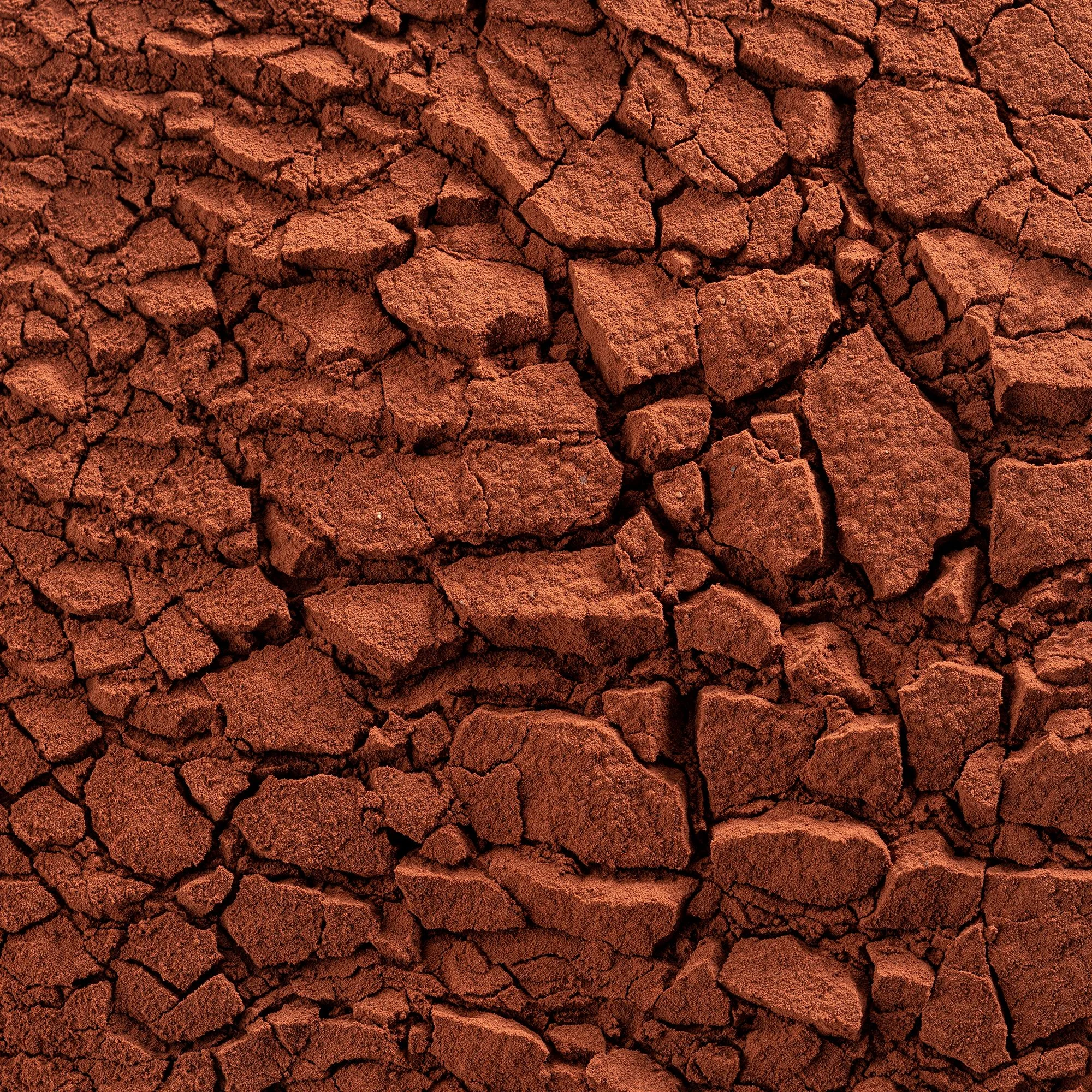 Алкализованный какао порошок красный Cacao Barry Rouge Ultime 20-22%, 1 кг