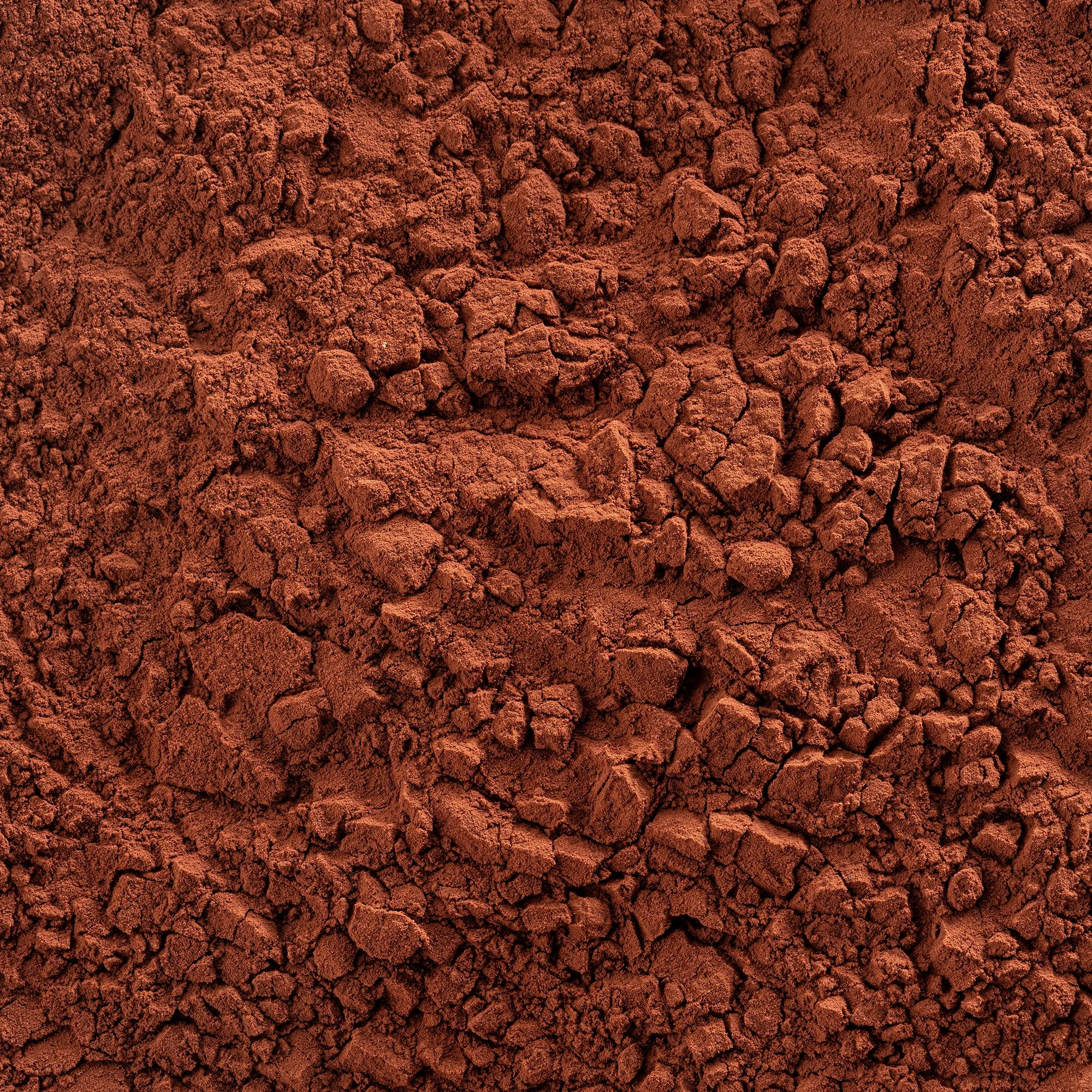 Алкализованный какао порошок красный Cacao Barry Rouge Ultime 20-22%, 1 кг