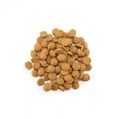 Бельгийский карамельный шоколад Callebaut Gold, 0,4 кг