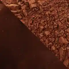 Какао порошок Cacao Barry EXTRA BRUTE 22-24%, 1 кг