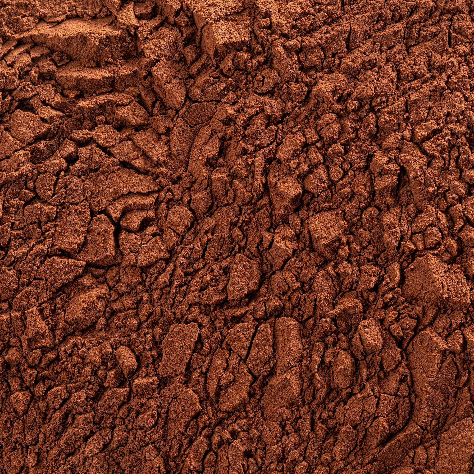 Какао порошок Cacao Barry EXTRA BRUTE 22-24%, 1 кг