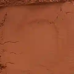Какао порошок Cacao Barry EXTRA BRUTE 22-24%, 1 кг