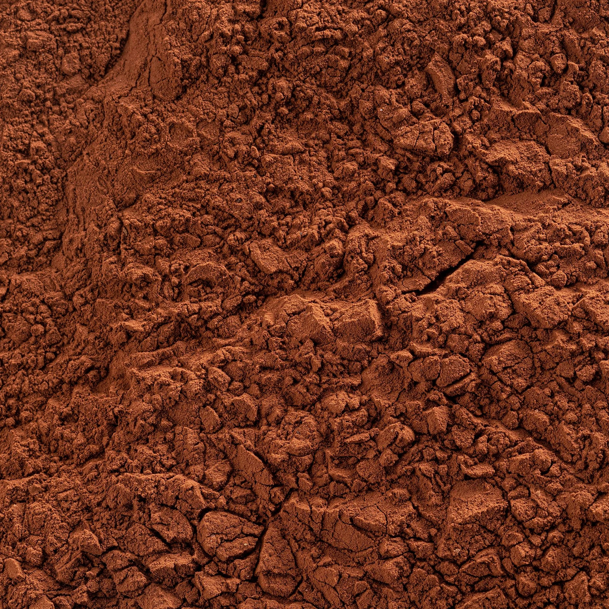 Какао порошок Cacao Barry EXTRA BRUTE 22-24%, 1 кг