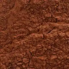 Какао порошок Cacao Barry EXTRA BRUTE 22-24%, 1 кг