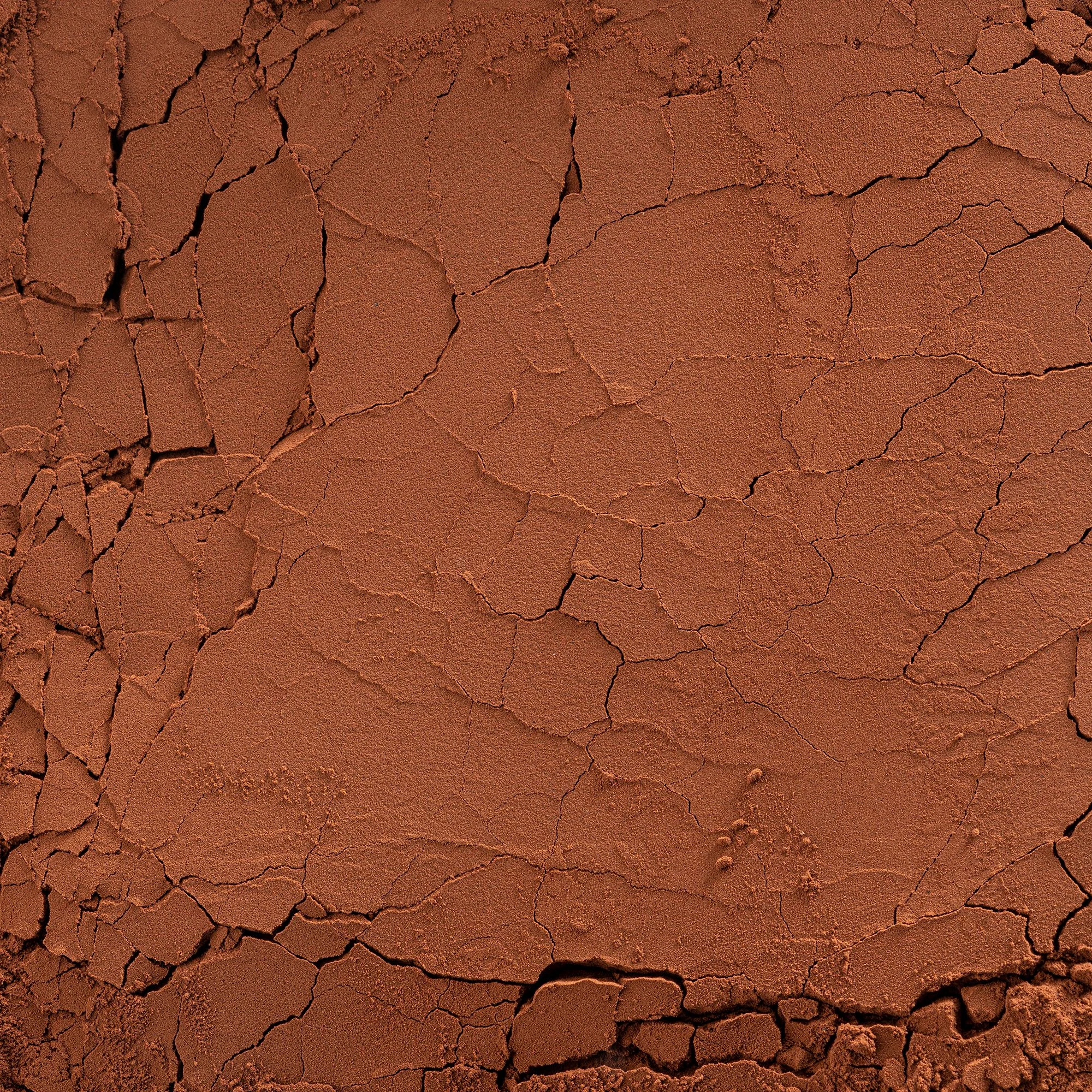 Какао порошок Cacao Barry EXTRA BRUTE 22-24%, 1 кг