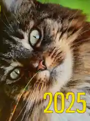Багровый календарь листовой, 2025 год, А4