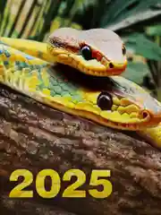 Белый календарь листовой с символом на 2025 год в формате А4