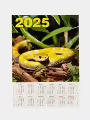 Бордовый календарь листовой с символом на 2025 год в формате А4