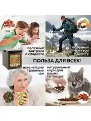 Электрическая сушилка для овощей и фруктов GFGRIL GFD-012, дегидратор