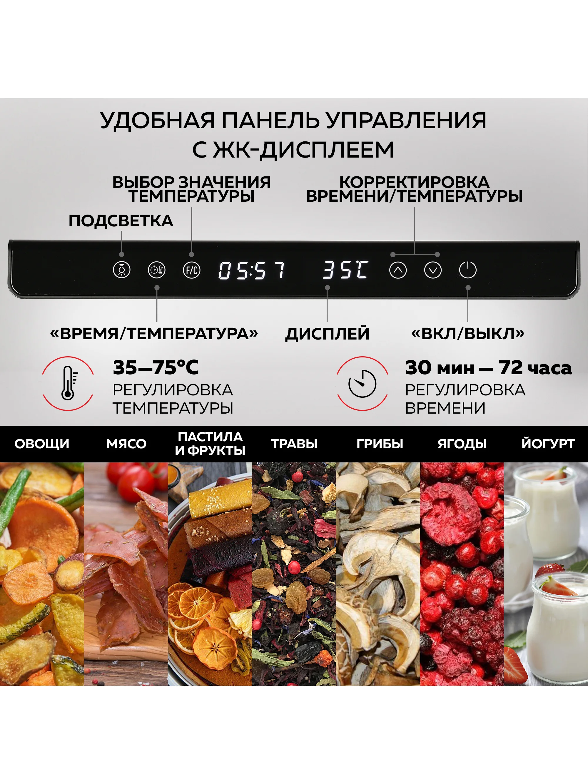Электрическая сушилка для овощей и фруктов GFGRIL GFD-012, дегидратор