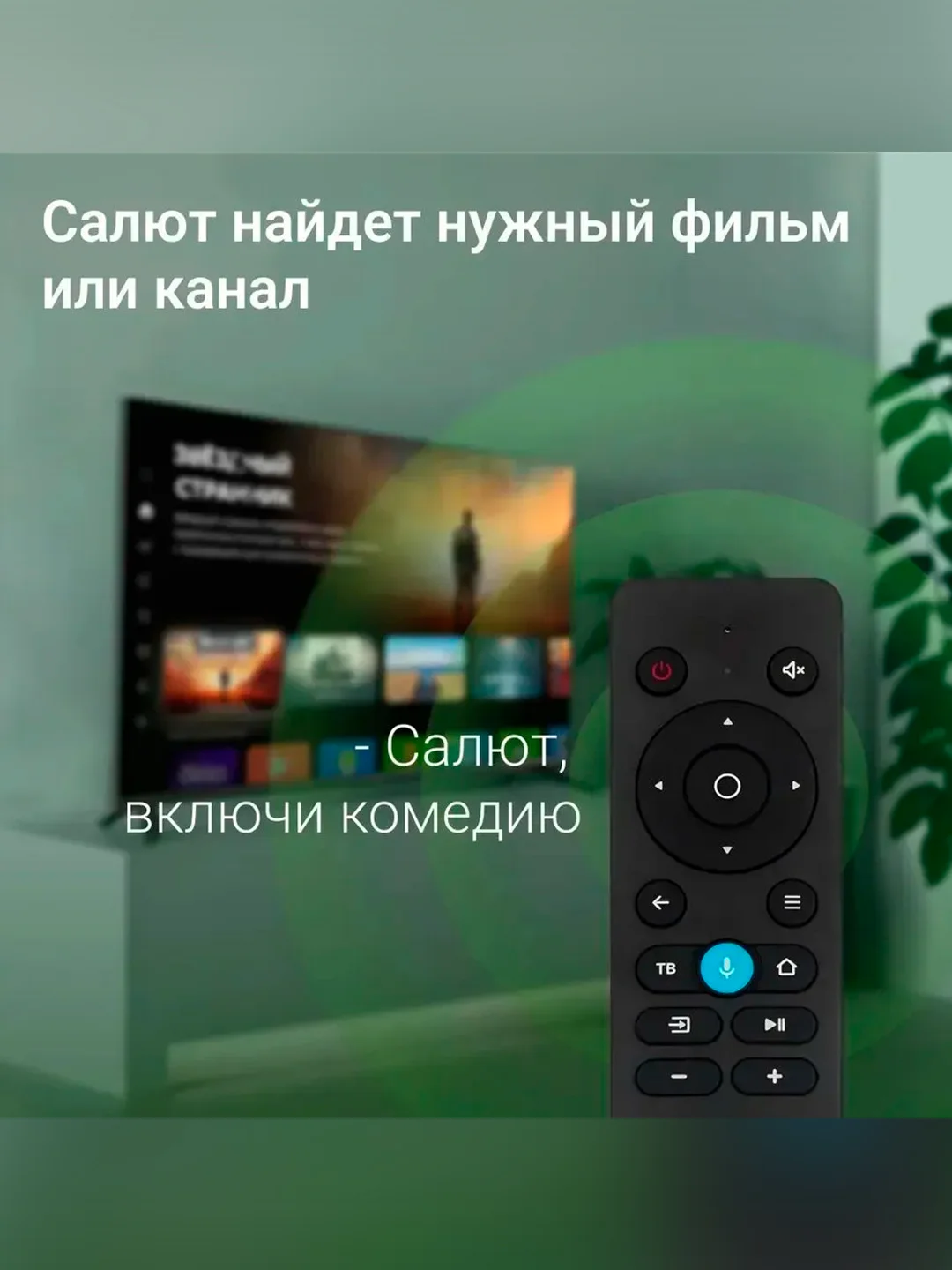 Телевизор LED Digma 43" DM-LED43SBB36 Smart Салют ТВ