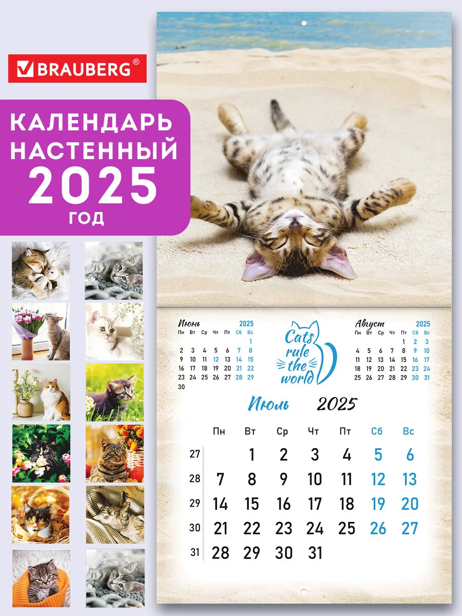 Календарь настенный на 2025 год перекидной, Brauberg, 12 листов, 29х29см, Милые котики