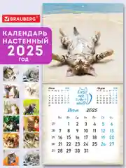 Календарь настенный на 2025 год перекидной, Brauberg, 12 листов, 29х29см, Милые котики