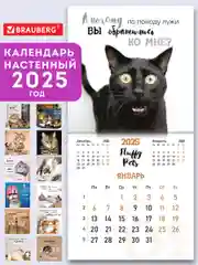 Календарь настенный на 2025 год перекидной, Brauberg, 12 листов, 29х29см, Смешные котики