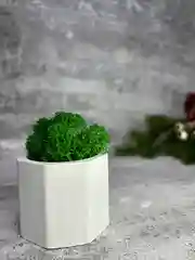 Подарочный набор кашпо со свечкой и мхом ( новогодний )