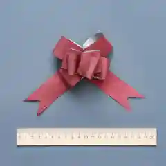 Бордовый бант "Бабочка", диаметр 9 см, 5 видов