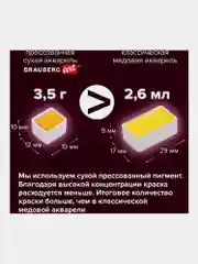 Акварель художественная BRAUBERG ART PREMIERE, кюветы, 48 цветов