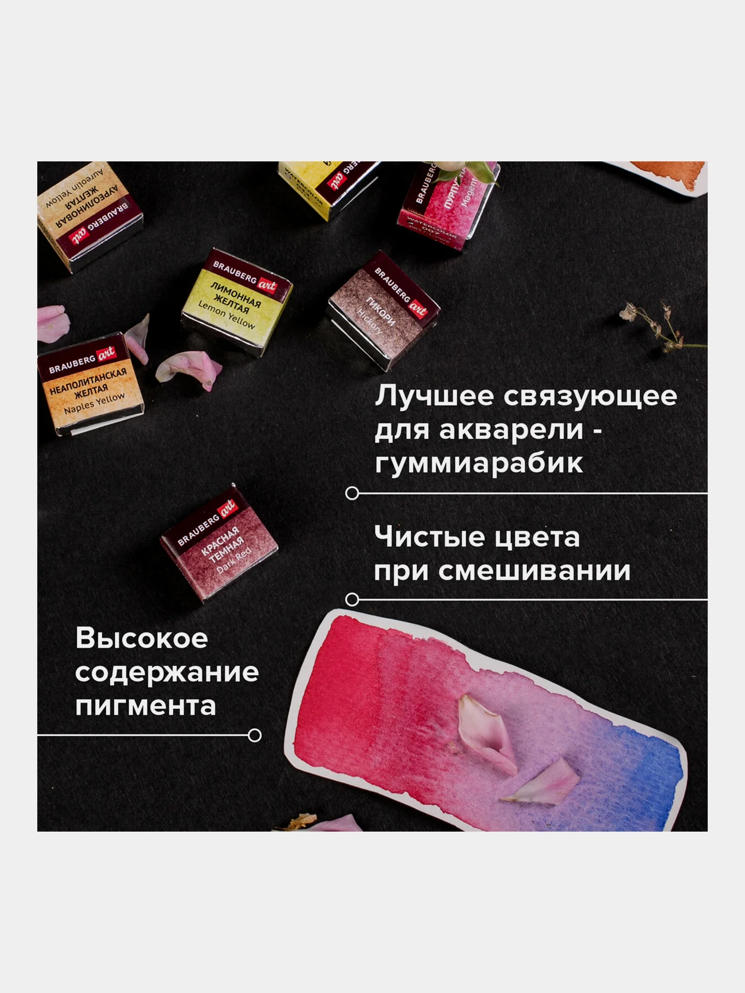 Акварель художественная BRAUBERG ART PREMIERE, кюветы, 48 цветов