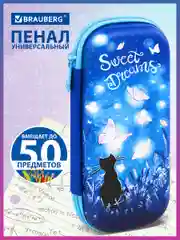 Пенал школьный для ручек, карандашей Brauberg, 1 отделение, Sweet dreams, 270704