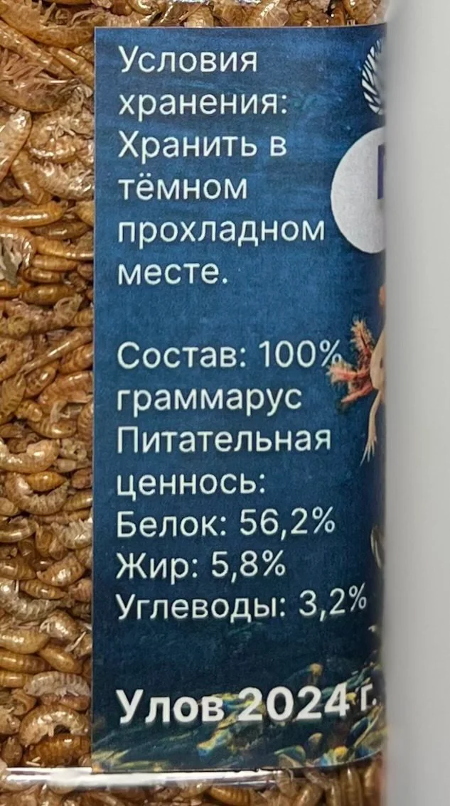 Гаммарус 100%
