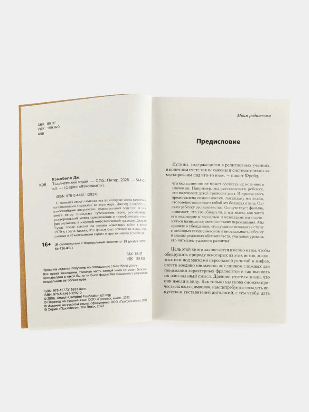 Тысячеликий герой  (#экопокет)
