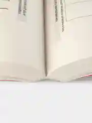 Украинская трагедия. Технологии сведения с ума