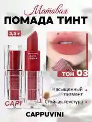 Пастельно-коралловый помада для губ Cappuvini матовая, стойкая, тинт, водостойкая, 6 оттенков