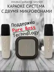 Беспроводная портативная караоке колонка с микрофонами Bluetooth колонка с LED подстветкой