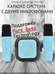 Беспроводная портативная караоке колонка с микрофонами Bluetooth колонка с LED подстветкой
