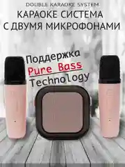 Беспроводная портативная караоке колонка с микрофонами Bluetooth колонка с LED подстветкой