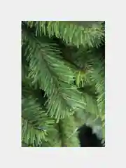 Искусственная ёлка Max Christmas Финская, 180 см, d нижнего яруса 90 см, ветки отгибаются