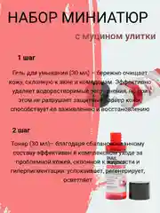 Набор миниатюр с муцином улитки Snail Truecica Miracle Repair Starter Kit, 30/30/10/20 мл