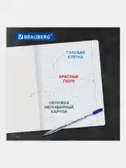 Тетрадь школьная для учебы в клетку Brauberg, 12 листов, набор 20 штук, 880048